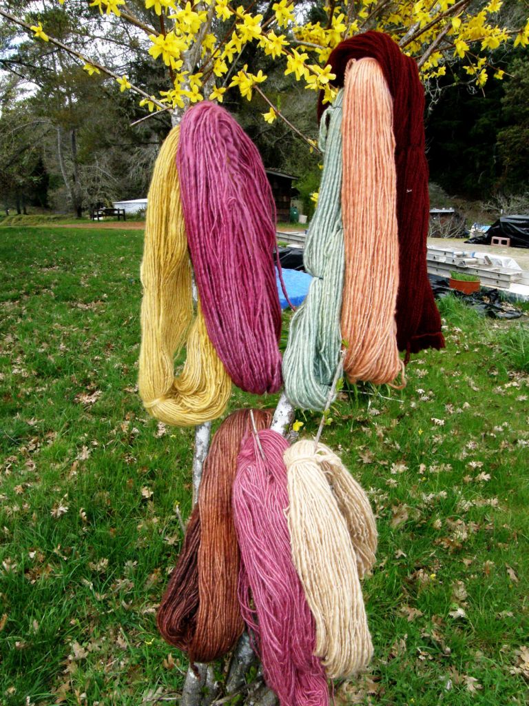 Backstrap Weaving – Where the Yarn Grows on Trees